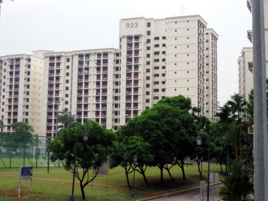 Blk 923 Hougang Avenue 9 (S)530923 #235082